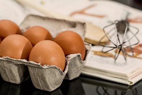 Ленобласть заняла первое место в России по объему производства яиц