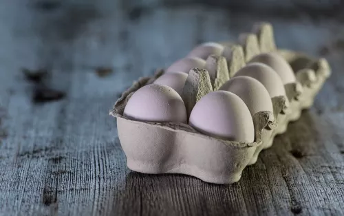 Ленинградская область планирует за три года нарастить производство яиц на 14%