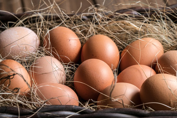 Ленобласть планирует увеличить производство яиц к 2027 году